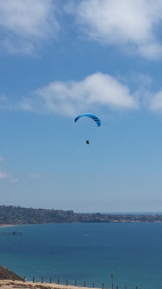 My son goes paragliding at the Torrey Pines Gliderport in La Jolla, CA